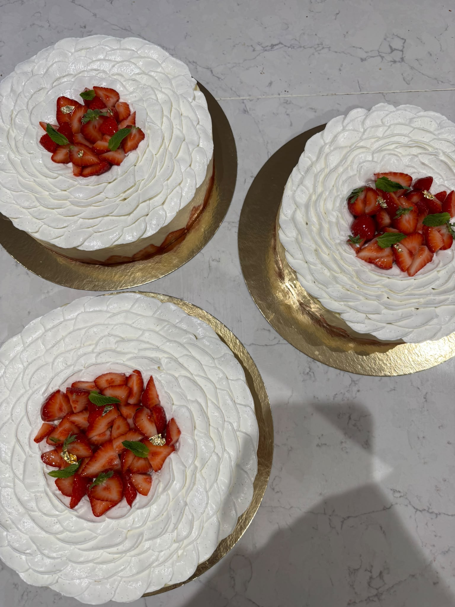 Fraisier — chantilly vanille et fraises